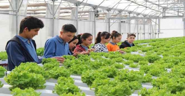 Tarım Bölümü öğrencileri, okula ait seralarda modern tekniklerle sebze üretimi yapıyor
