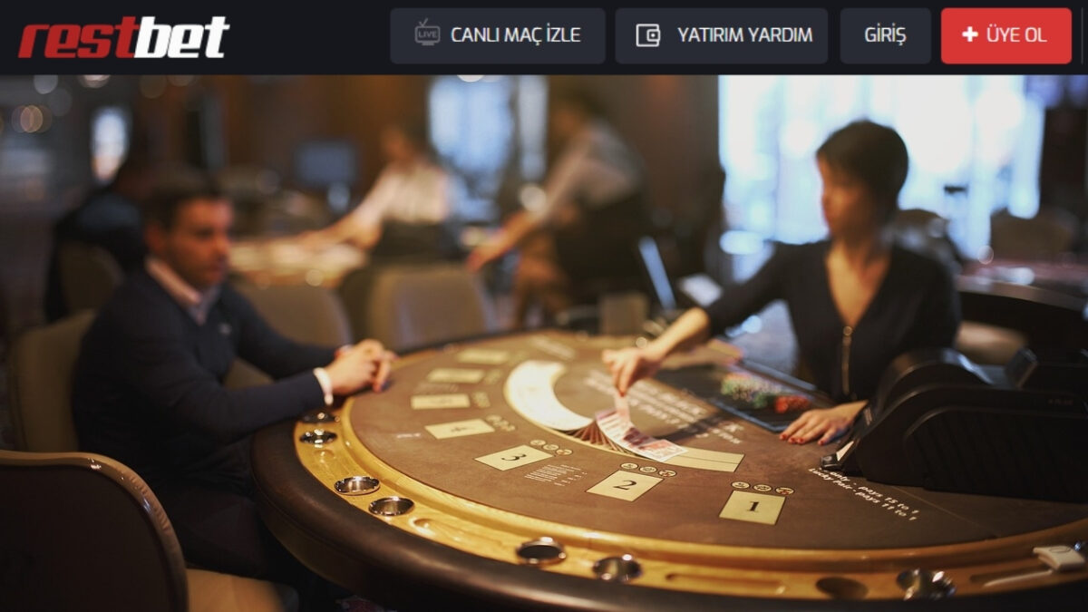 Slotday Güncel Giriş Noktası